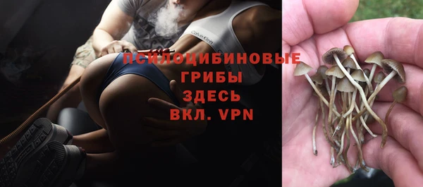mdma Киреевск