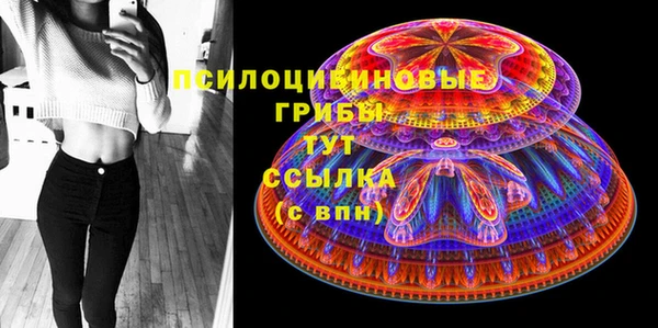 хмурый Киренск
